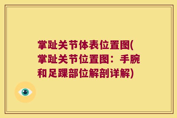 掌趾关节体表位置图(掌趾关节位置图：手腕和足踝部位解剖详解)