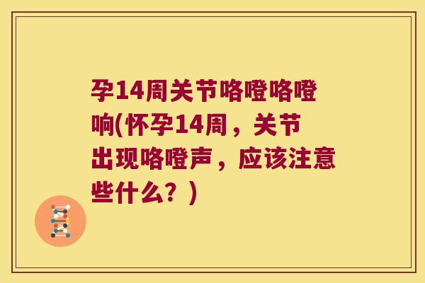 孕14周关节咯噔咯噔响(怀孕14周,关节出现咯噔声,应该注意些什么?)