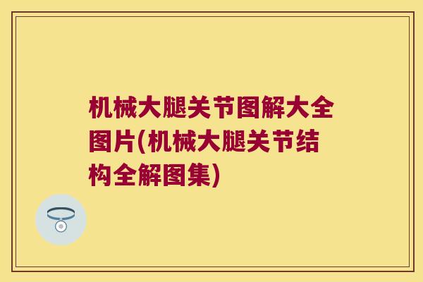 机械大腿关节图解大全图片(机械大腿关节结构全解图集)