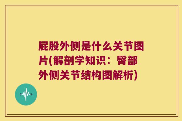 屁股外侧是什么关节图片(解剖学知识:臀部外侧关节结构图解析)