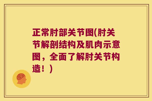 正常肘部关节图(肘关节解剖结构及肌肉示意图,全面了解肘关节构造!)