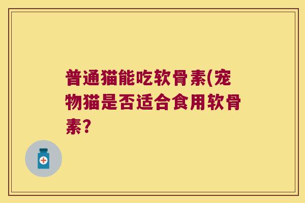普通猫能吃软骨素(宠物猫是否适合食用软骨素?