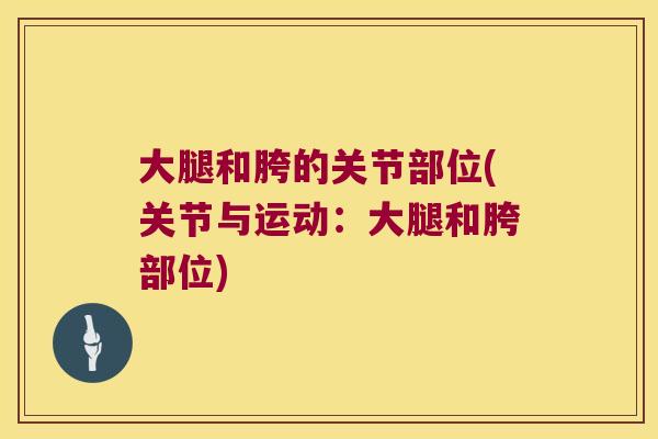 大腿和胯的关节部位(关节与运动:大腿和胯部位)