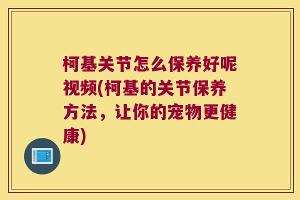 柯基关节怎么保养好呢视频(柯基的关节保养方法,让你的宠物更健康)