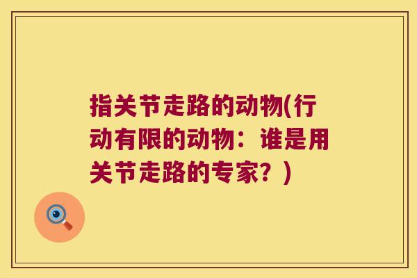 指关节走路的动物(行动有限的动物:谁是用关节走路的专家?)