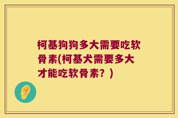 柯基狗狗多大需要吃软骨素(柯基犬需要多大才能吃软骨素?)