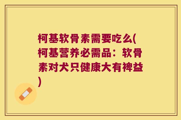 柯基软骨素需要吃么(柯基营养必需品：软骨素对犬只健康大有裨益)