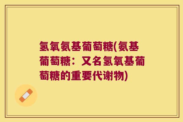 氢氧氨基葡萄糖(氨基葡萄糖:又名氢氧基葡萄糖的重要代谢物)
