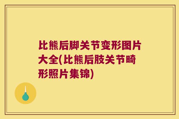 比熊后脚关节变形图片大全(比熊后肢关节畸形照片集锦)