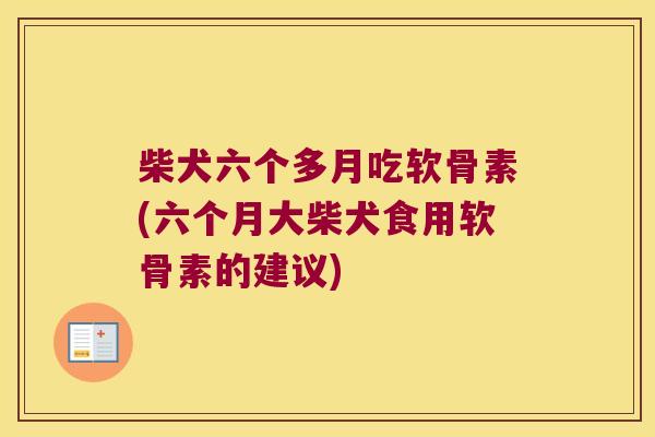 柴犬六个多月吃软骨素(六个月大柴犬食用软骨素的建议)