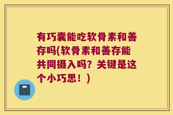 有巧囊能吃软骨素和善存吗(软骨素和善存能共同摄入吗?关键是这个小巧思!)