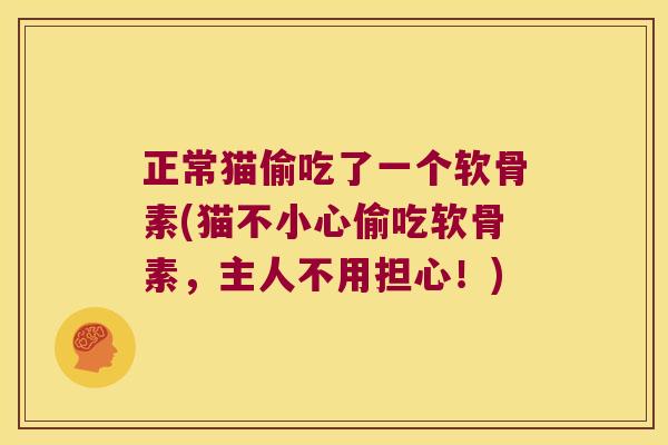正常猫偷吃了一个软骨素(猫不小心偷吃软骨素,主人不用担心!)