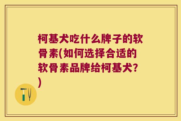 柯基犬吃什么牌子的软骨素(如何选择合适的软骨素品牌给柯基犬?)