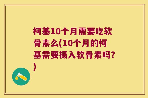 柯基10个月需要吃软骨素么(10个月的柯基需要摄入软骨素吗?)