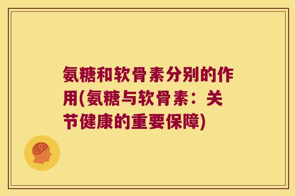 氨糖和软骨素分别的作用(氨糖与软骨素:关节健康的重要保障)