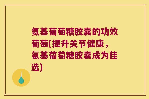 氨基葡萄糖胶囊的功效葡萄(提升关节健康,氨基葡萄糖胶囊成为佳选)