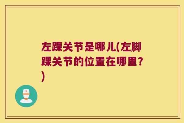 左踝关节是哪儿(左脚踝关节的位置在哪里?)