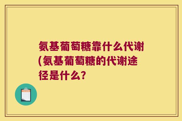 氨基葡萄糖靠什么代谢(氨基葡萄糖的代谢途径是什么?