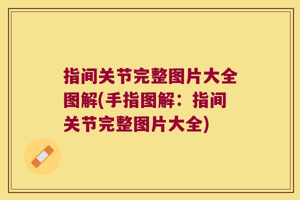 指间关节完整图片大全图解(手指图解:指间关节完整图片大全)