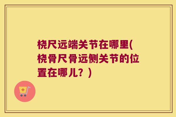 桡尺远端关节在哪里(桡骨尺骨远侧关节的位置在哪儿?)