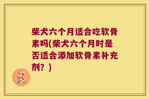 柴犬六个月适合吃软骨素吗(柴犬六个月时是否适合添加软骨素补充剂?)