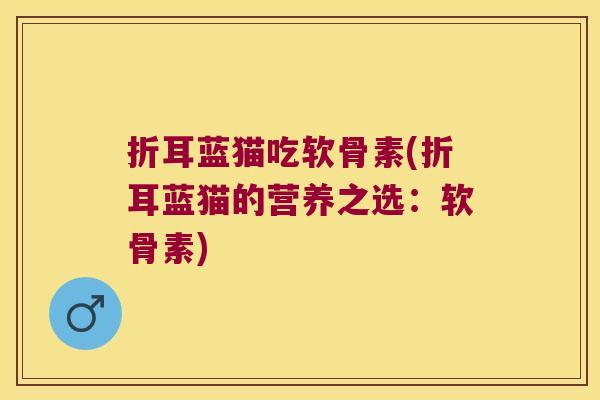 折耳蓝猫吃软骨素(折耳蓝猫的营养之选:软骨素)