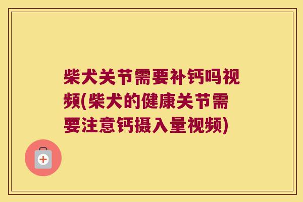 柴犬关节需要补钙吗视频(柴犬的健康关节需要注意钙摄入量视频)