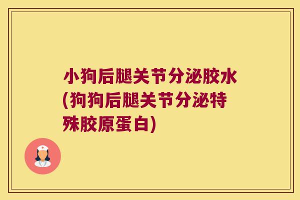 小狗后腿关节分泌胶水(狗狗后腿关节分泌特殊胶原蛋白)