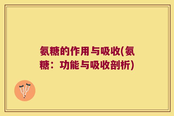 氨糖的作用与吸收(氨糖:功能与吸收剖析)