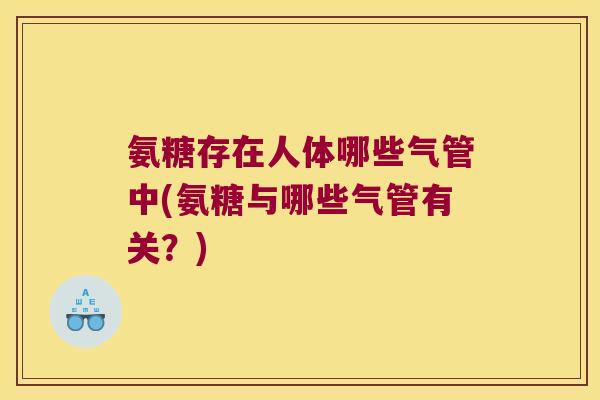 氨糖存在人体哪些气管中(氨糖与哪些气管有关?)