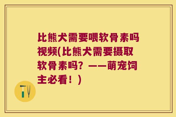 比熊犬需要喂软骨素吗视频(比熊犬需要摄取软骨素吗?——萌宠饲主必看!)