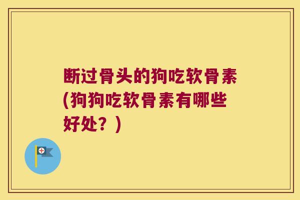 断过骨头的狗吃软骨素(狗狗吃软骨素有哪些好处?)