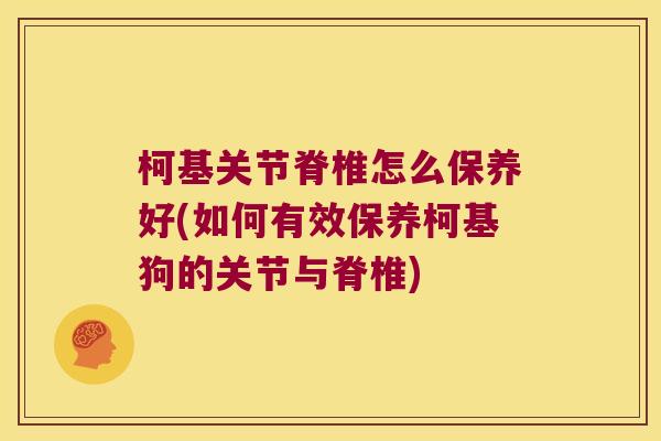 柯基关节脊椎怎么保养好(如何有效保养柯基狗的关节与脊椎)