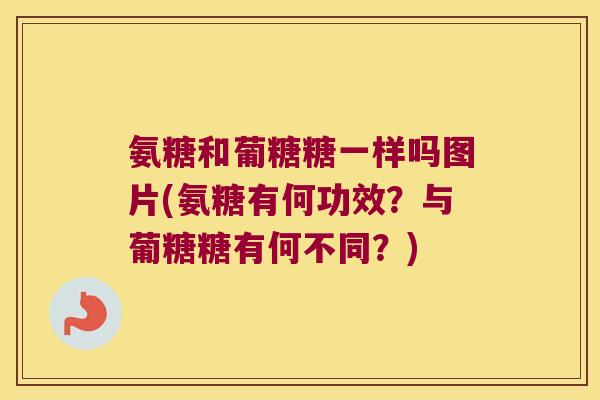 氨糖和葡糖糖一样吗图片(氨糖有何功效?与葡糖糖有何不同?)