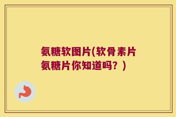 氨糖软图片(软骨素片氨糖片你知道吗?)