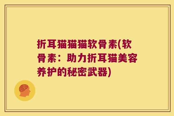 折耳猫猫猫软骨素(软骨素:助力折耳猫美容养护的秘密武器)