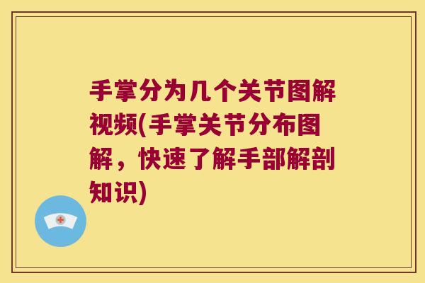 手掌分为几个关节图解视频(手掌关节分布图解,快速了解手部解剖知识)