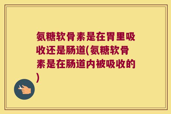氨糖软骨素是在胃里吸收还是肠道(氨糖软骨素是在肠道内被吸收的)