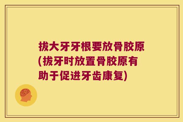 拔大牙牙根要放骨胶原(拔牙时放置骨胶原有助于促进牙齿康复)
