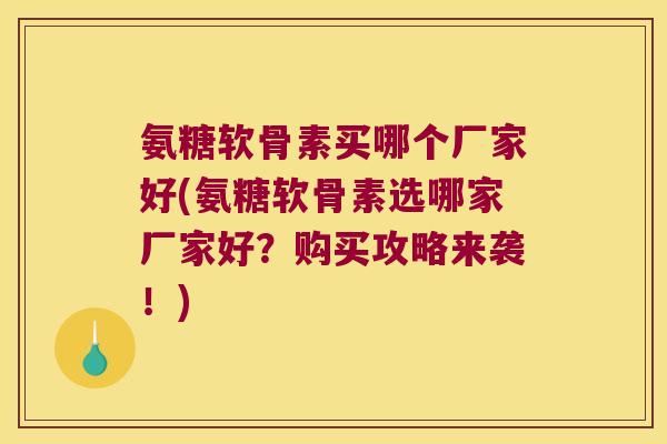 氨糖软骨素买哪个厂家好(氨糖软骨素选哪家厂家好?购买攻略来袭!)