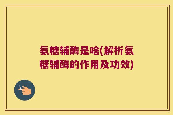 氨糖辅酶是啥(解析氨糖辅酶的作用及功效)