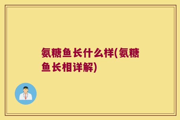 氨糖鱼长什么样(氨糖鱼长相详解)