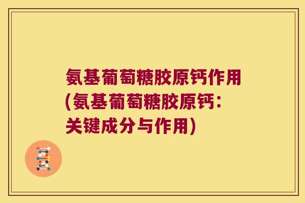 氨基葡萄糖胶原钙作用(氨基葡萄糖胶原钙:关键成分与作用)