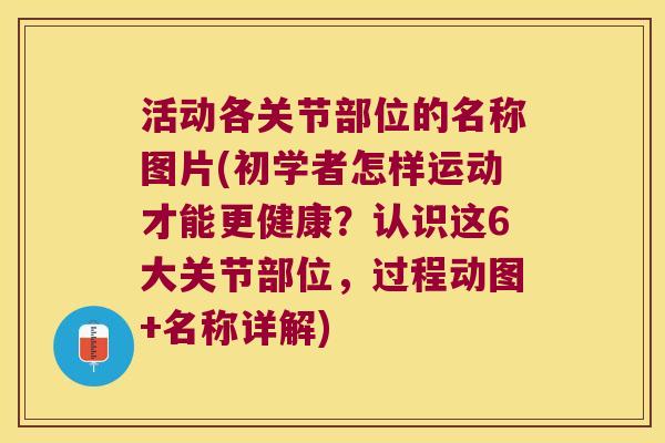 活动各关节部位的名称图片(初学者怎样运动才能更健康?认识这6大关节部位,过程动图+名称详解)