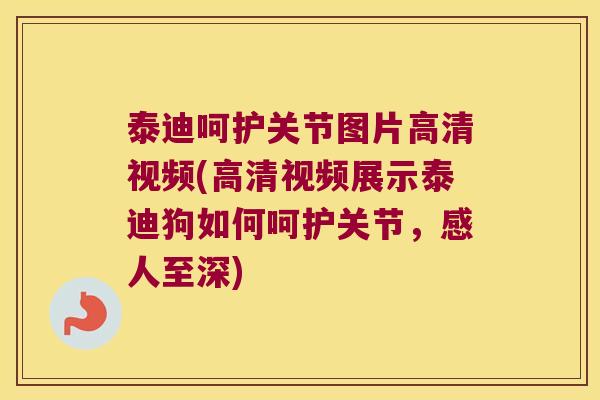 泰迪呵护关节图片高清视频(高清视频展示泰迪狗如何呵护关节,感人至深)