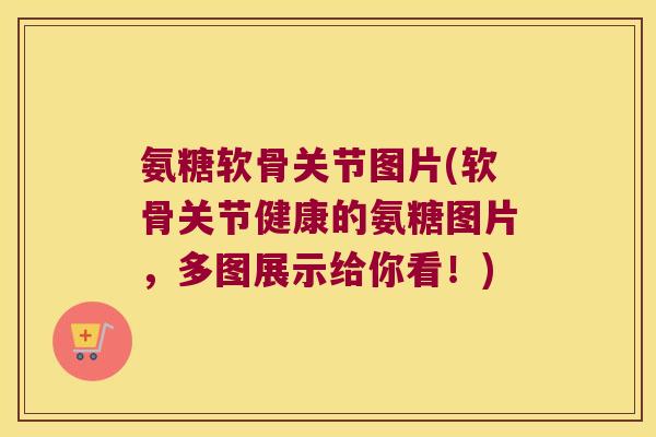 氨糖软骨关节图片(软骨关节健康的氨糖图片,多图展示给你看!)