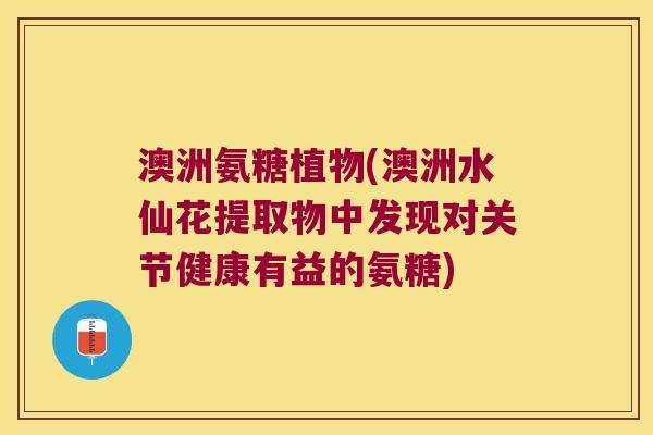 澳洲氨糖植物(澳洲水仙花提取物中发现对关节健康有益的氨糖)
