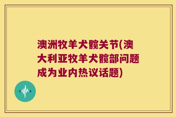 澳洲牧羊犬髋关节(澳大利亚牧羊犬髋部问题成为业内热议话题)
