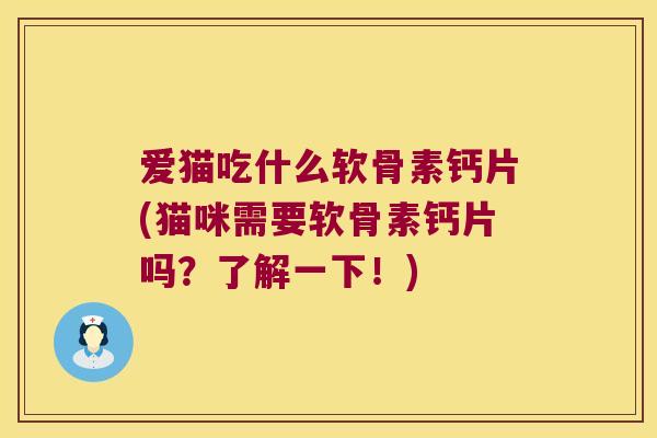 爱猫吃什么软骨素钙片(猫咪需要软骨素钙片吗?了解一下!)