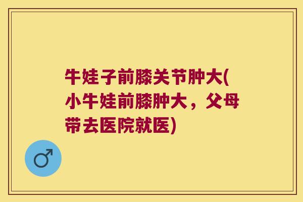 牛娃子前膝关节肿大(小牛娃前膝肿大,父母带去医院就医)